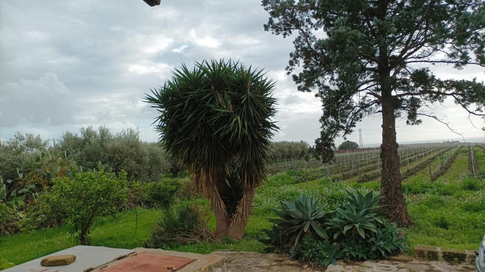 Casa Bouganville Villetta Tra Le Vigne E Il Mare Menfi Luaran gambar