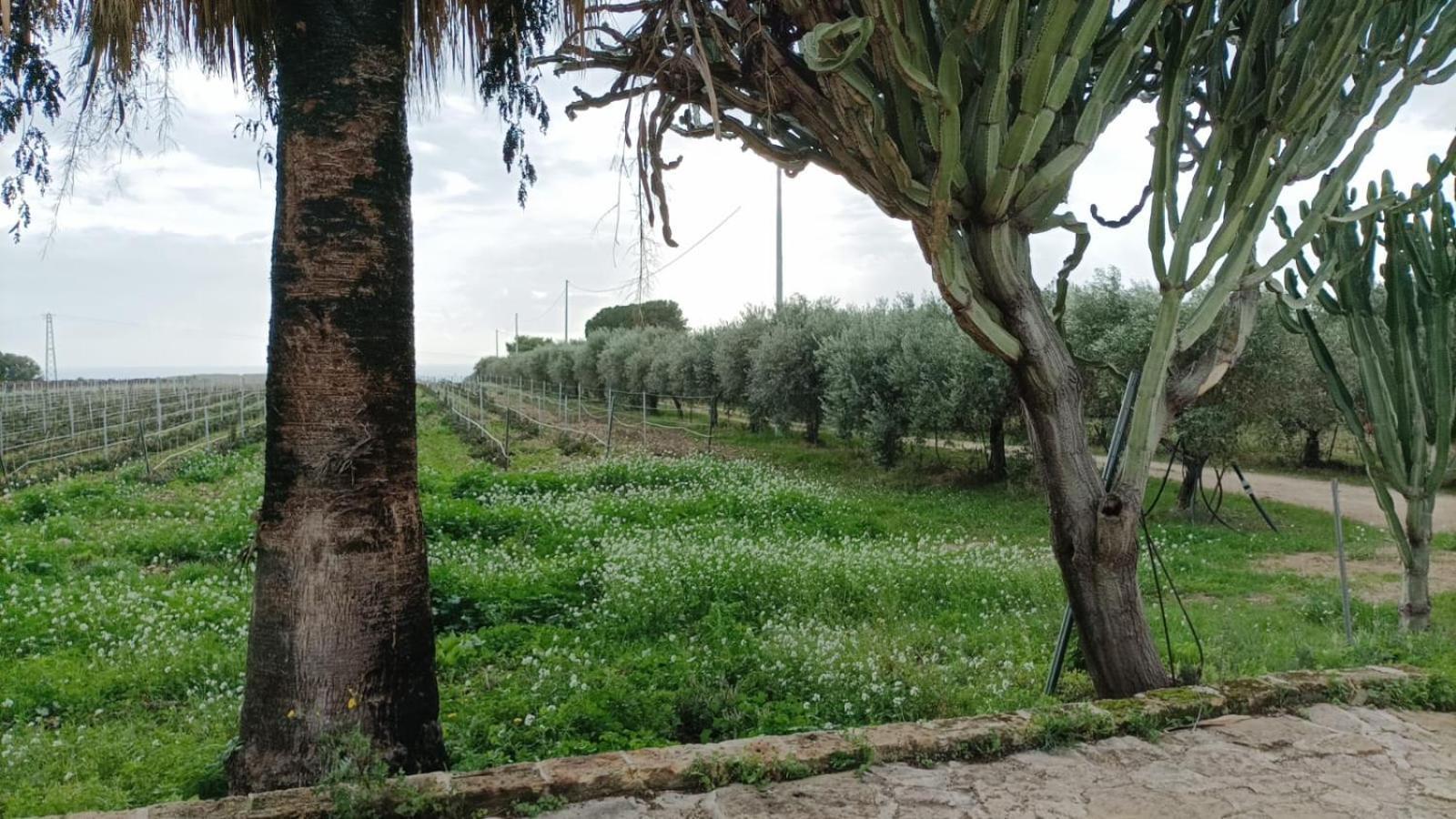 Casa Bouganville Villetta Tra Le Vigne E Il Mare Menfi Luaran gambar