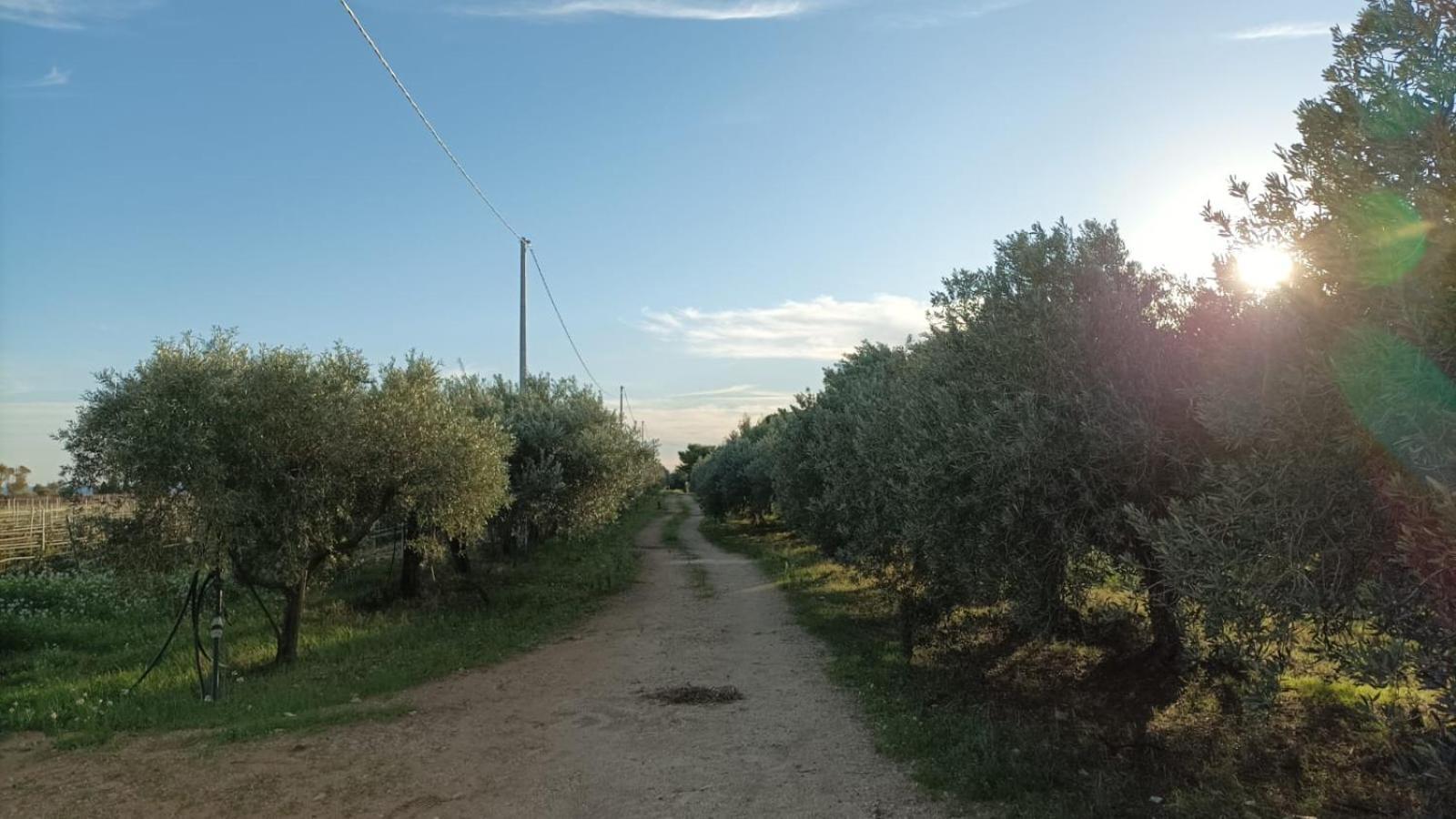 Casa Bouganville Villetta Tra Le Vigne E Il Mare Menfi Luaran gambar